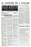 paladin6.pdf.jpg