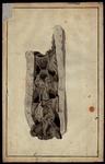 C196_C1_XIII.jpg.jpg