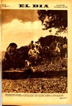 SELDIA414.pdf.jpg