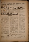 Ideas y acción N19.pdf.jpg