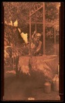 AFMR_MolinoBosch_1924.pdf.jpg
