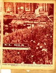SELDIA1882.pdf.jpg