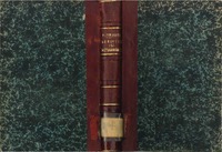 nin_la_novela_del_renacimiento.pdf.jpg