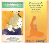 Programa_de_promocion_de_la_lactancia_materna_b.pdf.jpg
