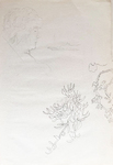 D2537.jpg.jpg