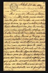Paulina_Maria_pedro_20041886.pdf.jpg