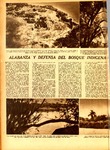 Alabanza y Defensa del Bosque Indigena.pdf.jpg