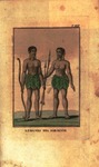 Lenguas.pdf.jpg